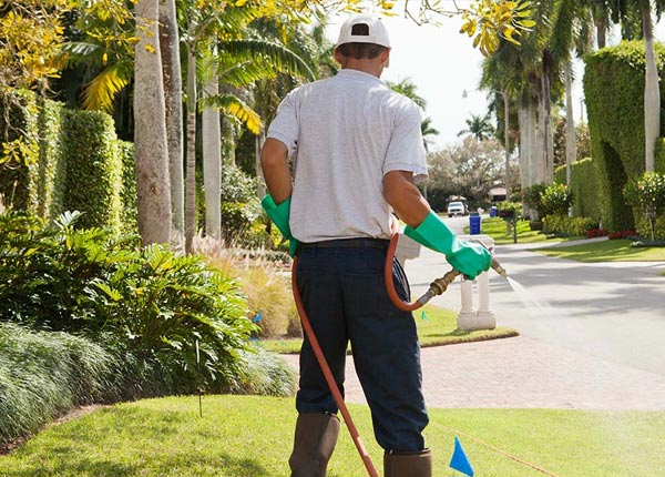 About Dighton KS Pest Control